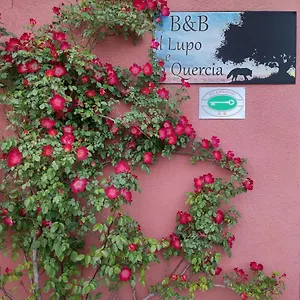  Bed & Breakfast Il Lupo E La Quercia Italia